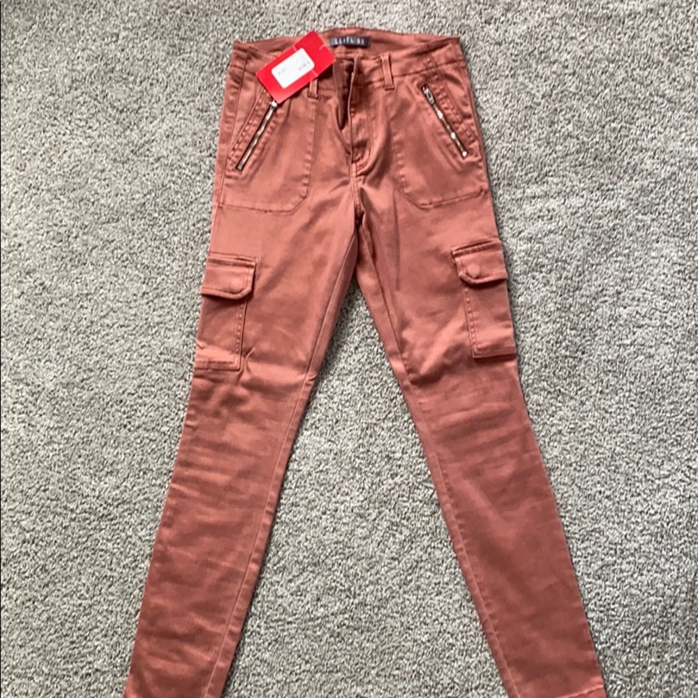 Evereve cargo pants “Level 99”